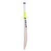 SS T20 Storm Kashmir Willow Cricket Bat3