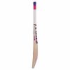 SS TON Blaster Kashmir Willow Cricket Bat1