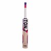 SS TON Blaster Kashmir Willow Cricket Bat2