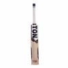 SS TON Glory English Willow Cricket Bat1