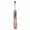 SS TON Power Plus Kashmir Willow Cricket Bat1