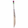 SS TON Power Plus Kashmir Willow Cricket Bat3