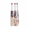 SS TON Vertu English Willow Cricket Bat