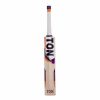 SS TON Vertu English Willow Cricket Bat1