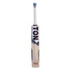 SS Ton Elite English Willow Cricket Bat1