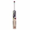 SS Ton Gutsy English Willow Cricket Bat1