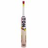 SS Ton Maximus Kashmir Willow Cricket Bat1