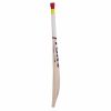 SS Ton Maximus Kashmir Willow Cricket Bat3