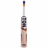 SS Ton Maxpower Kashmir Willow Cricket Bat1