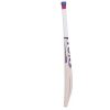 SS Ton Reserve Edition Kashmir Willow Cricket Bat3