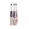 SS Ton Silver Edition English Willow Cricket Bat