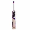 SS Ton Silver Edition English Willow Cricket Bat1