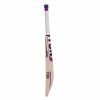 SS Ton Silver Edition English Willow Cricket Bat3