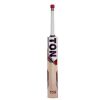 SS Ton Super English Willow Cricket Bat