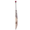 SS Ton Super English Willow Cricket Bat3