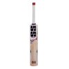 SS White Edition Red Kashmir Willow Cricket Bat1