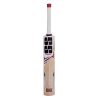 SS White Edition Red Kashmir Willow Cricket Bat1