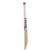 SS White Edition Red Kashmir Willow Cricket Bat3