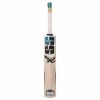 SS Yuvi 20-20 Kashmir Willow Cricket Bat1