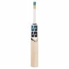 SS Yuvi 20-20 Kashmir Willow Cricket Bat2