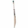 SS Yuvi 20-20 Kashmir Willow Cricket Bat3