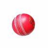 Setia International Clue Cricket Ball1