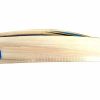 Setia International Elite Limited Edition Kashmir Willow Cricket Bat1