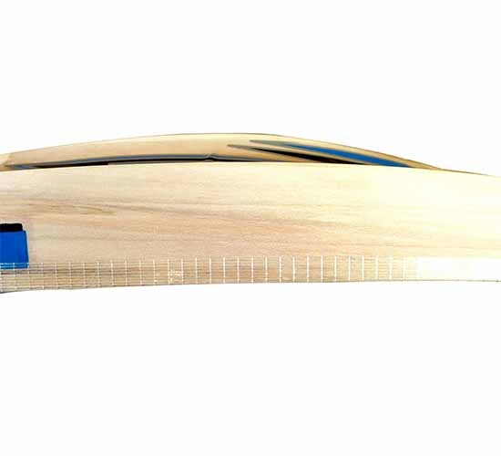 Setia International Elite Limited Edition Kashmir Willow Cricket Bat1