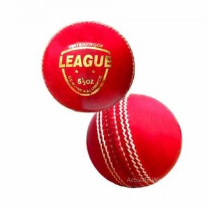 Setia International League Cricket Ball