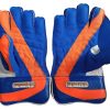 Setia International Limited Edition Wicket Keeping Gloves1