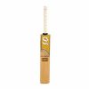 Setia International Match Kashmir Willow Cricket Bat