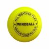 Setia International Wind Ball1