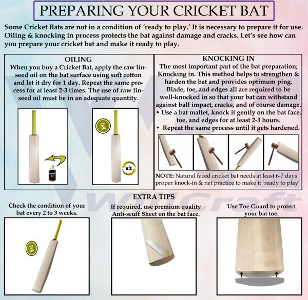 WillCraft Cricket Bat Care_Final