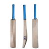 WillCraft-K20-Kashmir-Willow-Plain-Cricket-Bat_cover