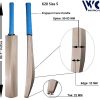 WillCraft-K20-Size-5-Kashmir-Willow-Plain-Cricket-Bat_Updated
