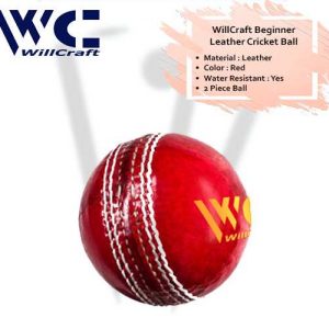 WillCraft Beginner Leather Cricket Ball_cover image