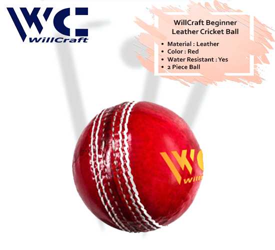 WillCraft Beginner Leather Cricket Ball_cover image