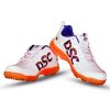 DSC Beamer Cricket Shoes1