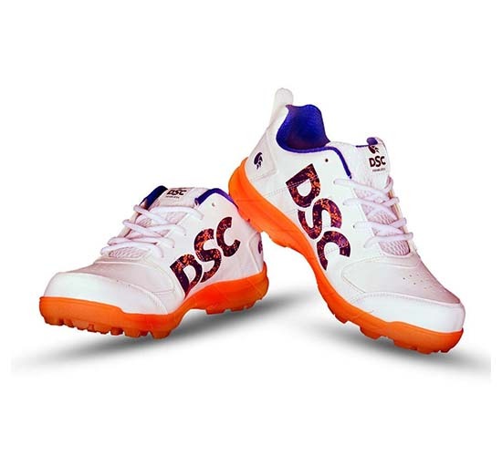DSC Beamer Cricket Shoes1