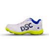 DSC Beamer Cricket Shoes_green1