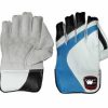 WillCraft WG3 Wicket Keeping Gloves 1