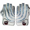 WillCraft WG4 Wicket Keeping Gloves