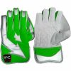 WillCraft WG5 Wicket Keeping Gloves 1