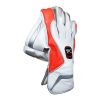 WillCraft WG6 Wicket Keeping Gloves 1