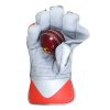 WillCraft WG6 Wicket Keeping Gloves