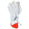 WillCraft WG6 Wicket Keeping Gloves 2