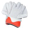 WillCraft WG6 Wicket Keeping Gloves 5