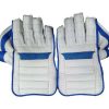 WillCraft WG7 wicket keeping gloves 1