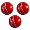 WillCraft Training ball_pack of 3