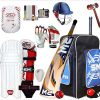 SM kashmir willow cricket kit